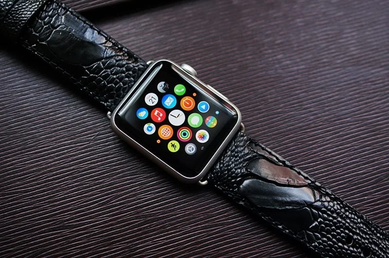 Handmade Ostrich Leg Strap 6 incl. Lugs Adapter + Buckle for Apple Watch (or Apple Watch Sport) 42mm or 38mm – image 4